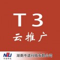 湖南T3云推广公司 T3云推广费用