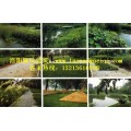三门峡市园林绿化哪家做的好-宜阳园林绿化效果图-瀍河区园林绿
