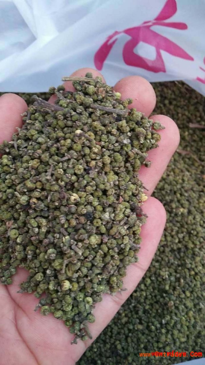 吴茱萸（茶辣木）中花品种收购价格高，产量稳定，广西河池重点扶贫项目。