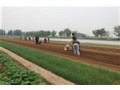 小型蔬菜播种器金水蔬菜精量播种机围农牌胡萝卜播种机