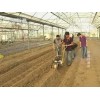 青菜种植播种机蔬菜精量播种机田园播种机蔬菜播种机械