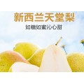 广州百森水果加盟费投资分析师