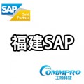 福建SAP代理商，厦门SAP咨询公司有哪些？