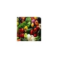 天然有机蔬菜-卖农副产品的网站-云南盛衍种业有限公司
