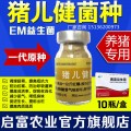 养殖户有用猪儿健菌种养猪专用益生菌吗？