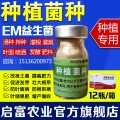 给蔬菜种子消毒浸种专用em菌液厂家推荐！