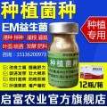 给蔬菜减少病虫害用em菌种效果如何？