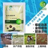 水产养鱼专用的益生菌多少钱一箱