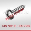 DIN7981自攻钉_不锈钢孔用挡圈供应_万喜天津紧固件