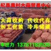 河南杞县黄村大蒜贸易中心供应杞县印尼蒜和拔米蒜