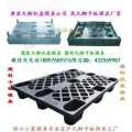 中国新款栈板注塑模具 新款注射仓垫板模具