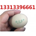 广东鸡蛋喷码机参展商，可以优惠的鸡蛋喷码机