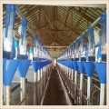 贵州猪场自动上料流水线，料塔输料线工作原理