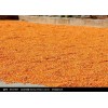 大型养殖场常年求购玉米碎米油糠等饲料原料