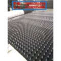 铜陵车库透水板（12高）排水板专业生产厂家