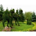 景观绿雕 厂家直销 造型完美的绿雕制作工厂