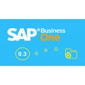 SAP business one 9.3新功能介绍—工博