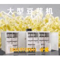山东豆芽机那里有卖 豆芽机的使用方法 鑫丰新型豆芽机厂家直销