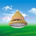 BAX1207固态免维护防爆灯（LED) 180W 200W