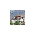 拉萨大昭寺酒店-藏区特产-西藏林芝南迦巴瓦旅行社有限公司