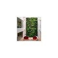 绿植墙价格-智能植物屏风养护-北京易合环境艺术有限责任公司