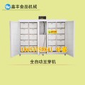 江苏新型豆芽机设备 全自动豆芽机价钱 鑫丰豆芽机生产线