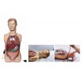 康谊牌KAY/H80多功能透明洗胃训练模型 洗胃操作模拟人