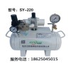 小型增压泵SY-451规格齐全