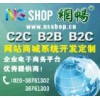 广州b2c电子商务网站建设