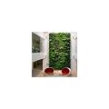 天津室内绿植墙/改造绿植墙价格/北京易合环境艺术有限责任公司