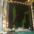 河南郑州江南园艺仿真植物墙设计施工安装，酒店，商场首选合作商
