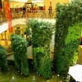 深圳市仿真植物墙制造设计供应商，假植软装施工安装