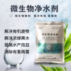 鱼塘水质变红该怎么处理不伤害鱼