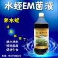 正确使用em菌液养水蛭的方法