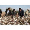 大型棉花采摘机多少钱新疆大型采棉机价格小型棉花采摘机