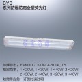 BYS防爆荧光灯 2x40w防爆防腐全塑荧光灯