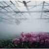 大棚花圃种植喷雾降温加湿工程安装质量