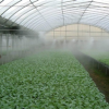 大棚苗圃种植喷雾降温加湿工程安装