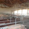 江苏家禽市场喷雾降温消毒设备厂家制造