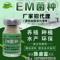 郑州启富em菌厂家招代理条件代生产代加工