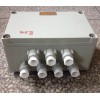 BJX-DIP-5/30粉尘防爆端子接线箱