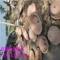 惠州倒锅模具 自动铝锅模具加工厂家