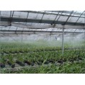 大棚种植人造雾降温加湿工程安装质量好的厂家
