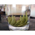 小懒猪明前绿茶雀舌恩施富硒茶手工茶春茶