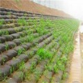 北京绿色生态袋厂家 供应生态袋植生袋植草毯石笼袋矿山复绿袋