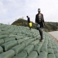 绿色生态袋 厂家供应生态袋植生袋植草毯石笼袋矿山复绿袋
