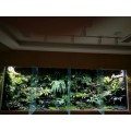 重庆广东湖北定制雨林缸垂直绿化植物墙找植来植趣