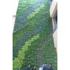 北京仿真植物墙造型