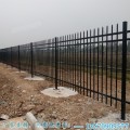 高档小区围墙护栏 梅州优质组装锌钢围栏 揭阳工厂透视栏杆