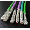 总线电缆DP通讯线紫色两芯双层屏蔽6XV1 830 6XV1830-0EH10